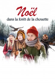 Noël dans la forêt de la chouette