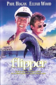 Film Flipper en Streaming