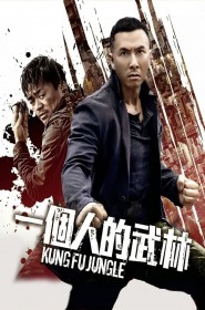 Film Kung Fu Jungle en Streaming