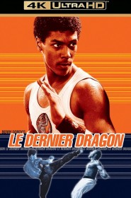 Film Le Dernier Dragon en Streaming