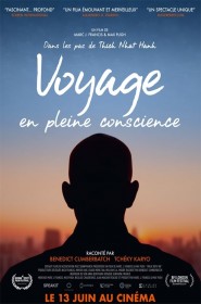 Film Voyage en pleine conscience en Streaming