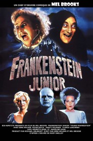 Film Frankenstein Junior en Streaming