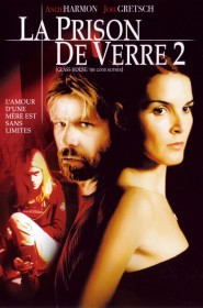 Film La Prison de verre 2 en Streaming