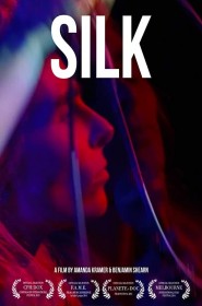 Film Silk en Streaming