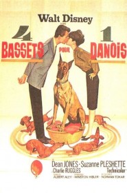 4 bassets pour un danois