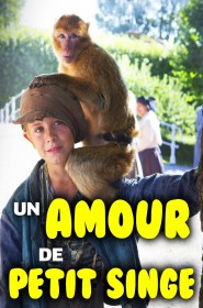 Film Un amour de petit singe en Streaming