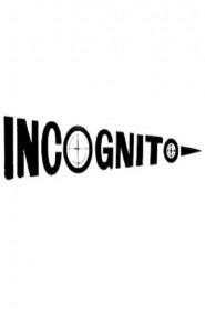 Film Incognito en Streaming