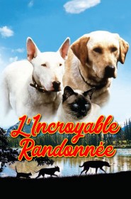 Film L'incroyable randonnée en Streaming