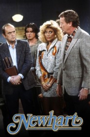 Serie Newhart en streaming