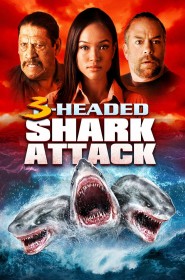 Film L'attaque du requin à 3 têtes en Streaming