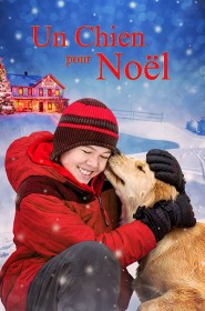 Un chien pour Noël