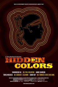 Hidden Colors