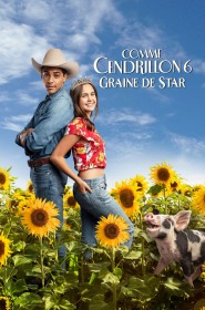 Film Comme Cendrillon 6 : Graine De Star en Streaming