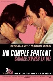 Film Un couple épatant en Streaming