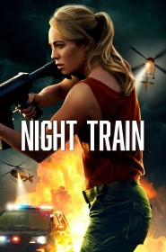 Film Night Train en Streaming