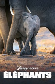 Film Éléphants en Streaming