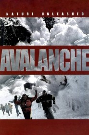 Film Danger Avalanche en Streaming