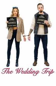 Film The Wedding Trip en Streaming