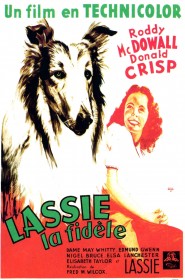 Film Fidèle Lassie en Streaming