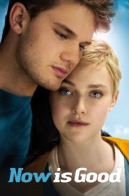 Film Now Is Good en Streaming