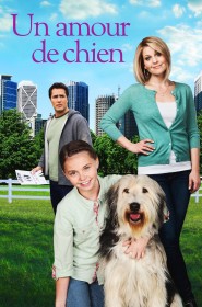 Un amour de chien