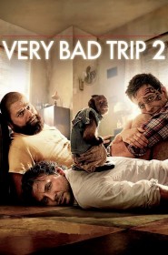 Very Bad Trip 2