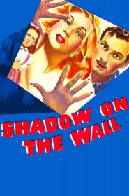 Film Shadow on the Wall en Streaming