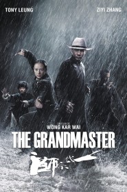 Film The Grandmaster en Streaming