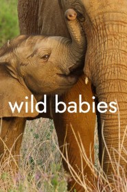 Serie Wild Babies en streaming