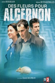 Film Des fleurs pour Algernon en Streaming