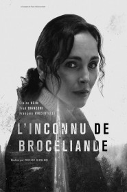 Film L'Inconnu de Brocéliande en Streaming