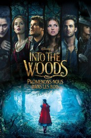 Into the Woods : Promenons-nous dans les bois