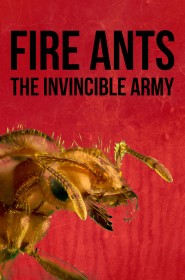 Film Fire Ants 3D: The Invincible Army en Streaming