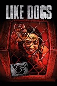 Film Like Dogs en Streaming