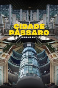 Film Cidade Pássaro en Streaming