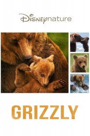 Film Grizzly en Streaming