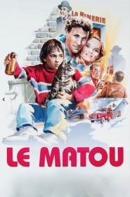 Film Le matou en Streaming