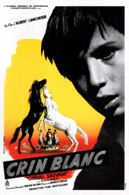 Film Crin blanc: Le cheval sauvage en Streaming