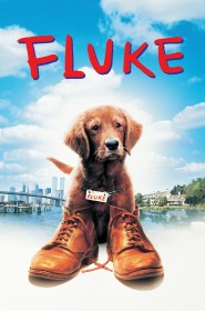 Film Fluke en Streaming