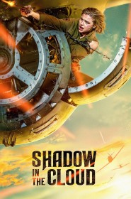 Film Shadow in the Cloud en Streaming